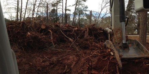 Brush Clearing, Forestry Mulching Company, Free Estimates