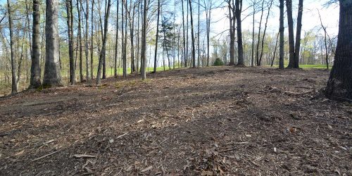 Land Clearing Forstery Mulching
